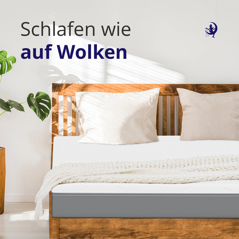 Hover image of Ergo Support 13 - Matelas mousse froide 7 zones 